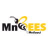 MnBees Gafsa - Metlaoui