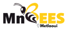 MnBees Gafsa - Metlaoui
